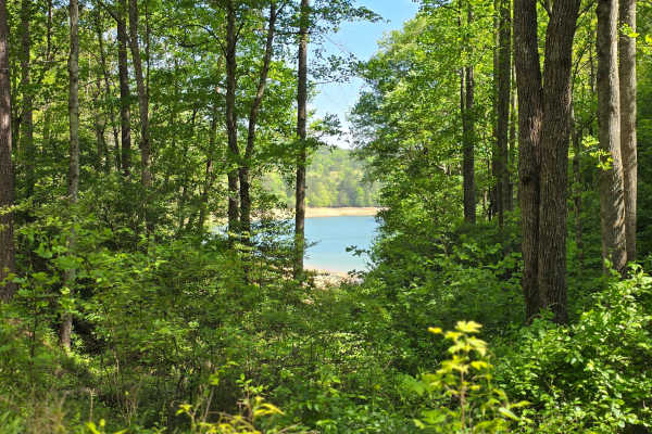 Bear Paw Road