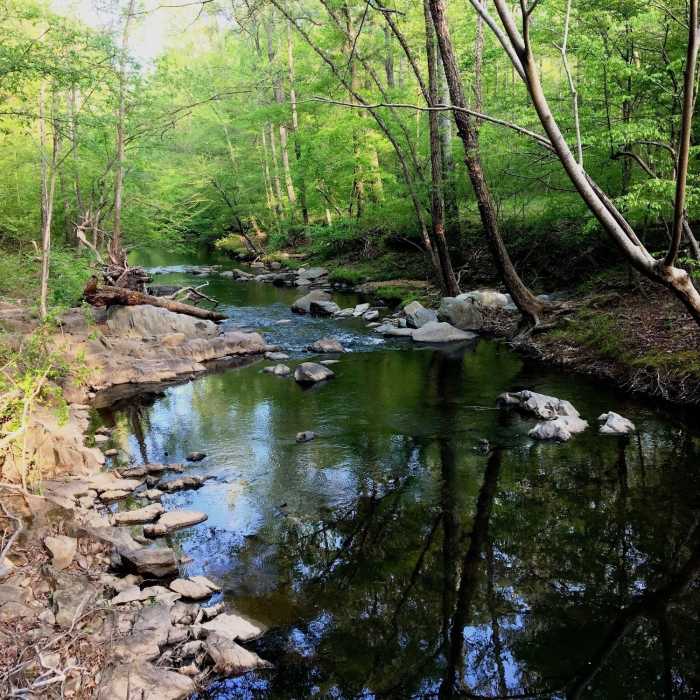 Near Elephant Rock Trail