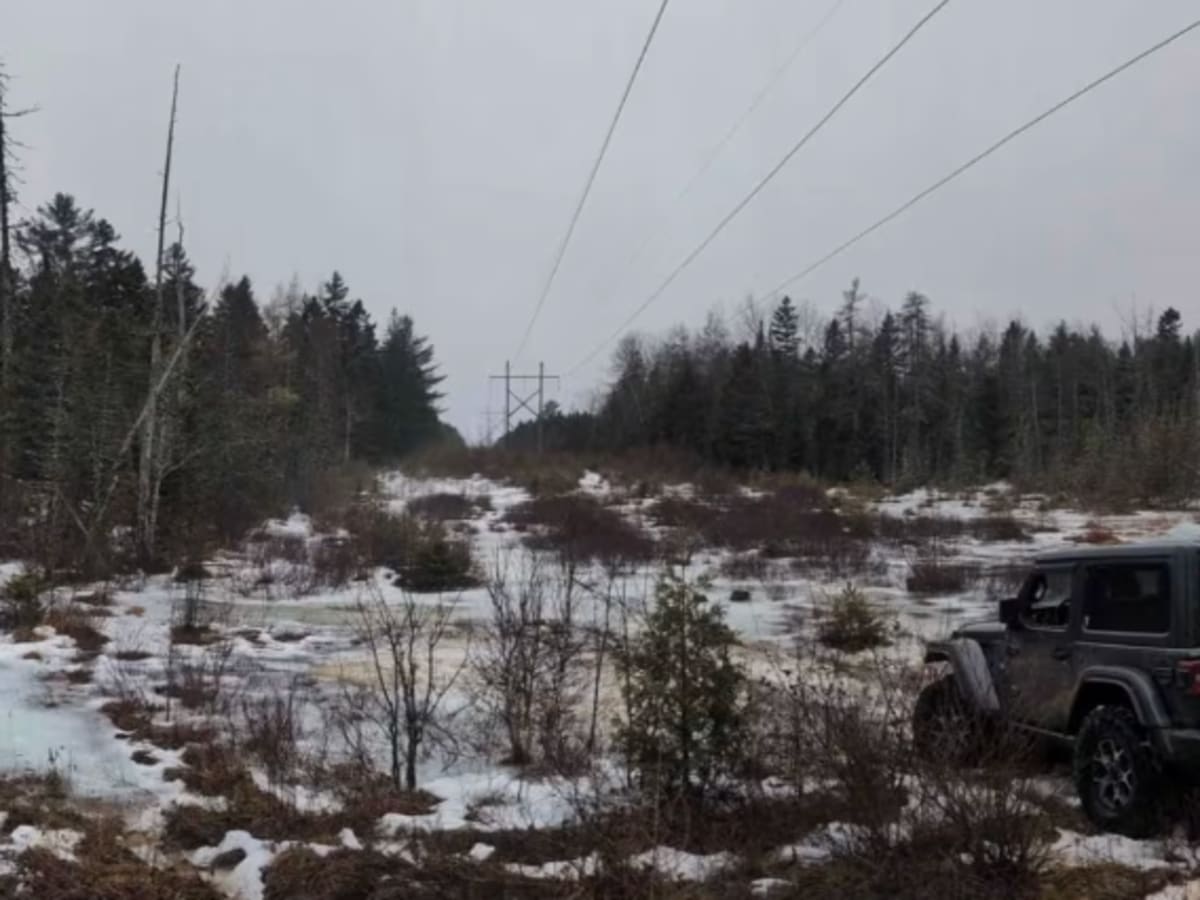 Maclean Settlement Road photo 5