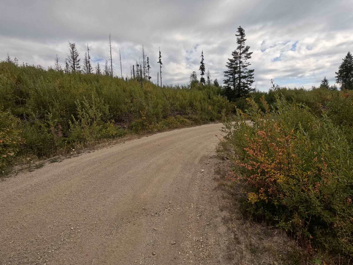 Kings Lake Road - FS 50 photo 6