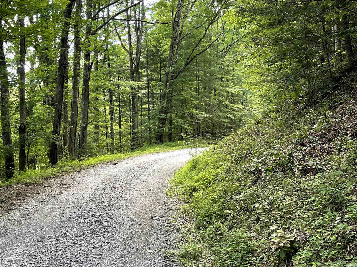 Bear Creek photo 5