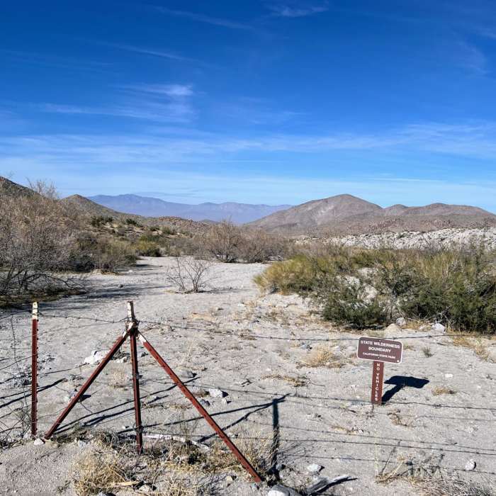 Near Whale Peak Via Pinyon Wash