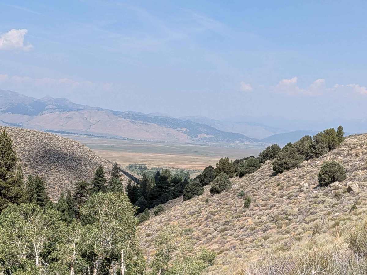 Old Green Creek Road photo 5