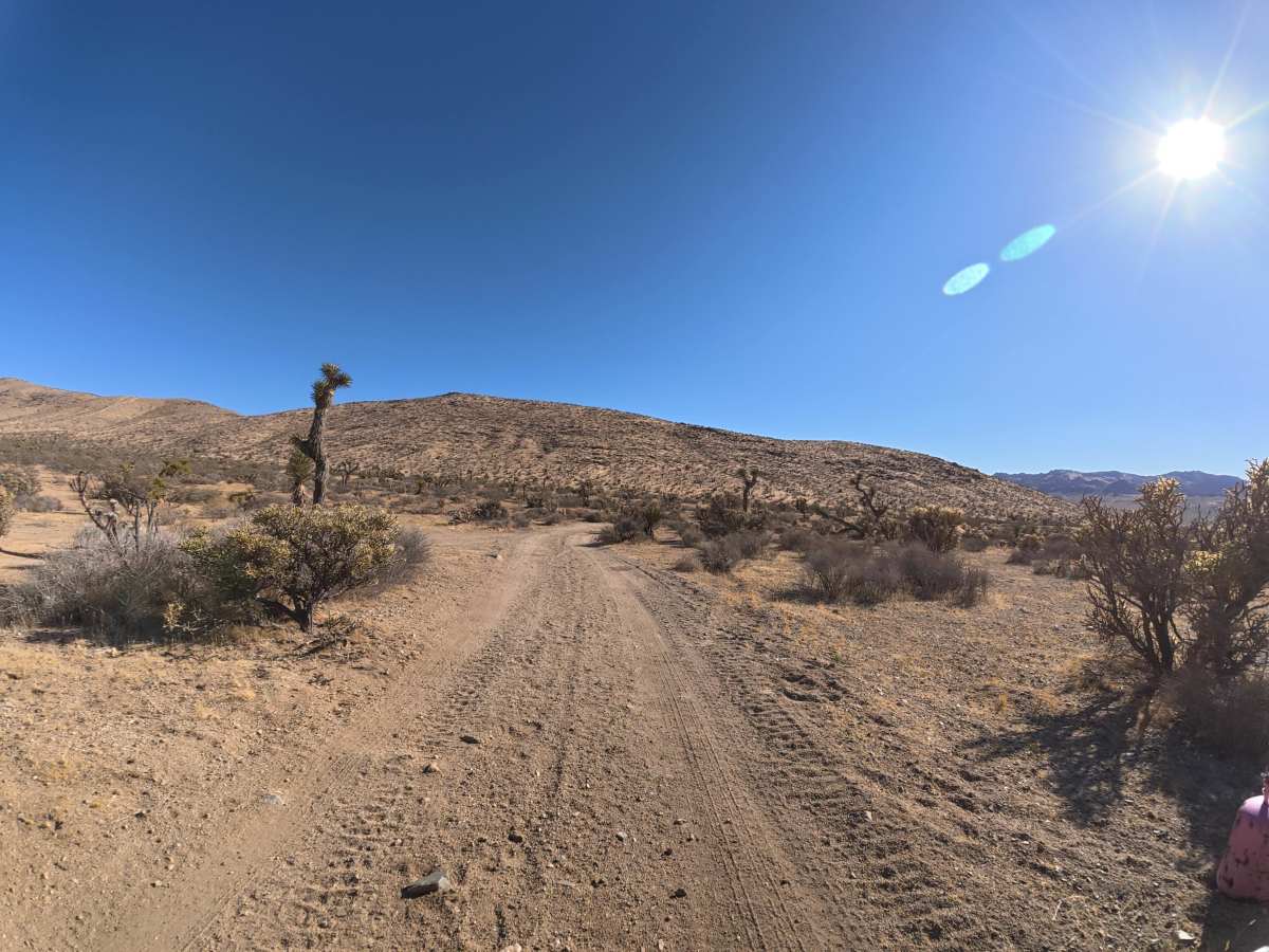 BLM SV2627 photo 3
