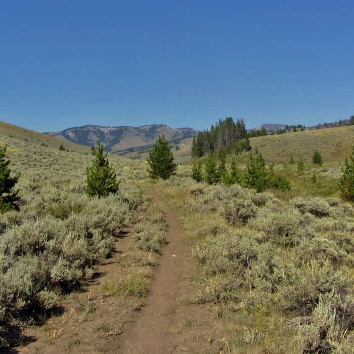 Near Dailey Creek Trail