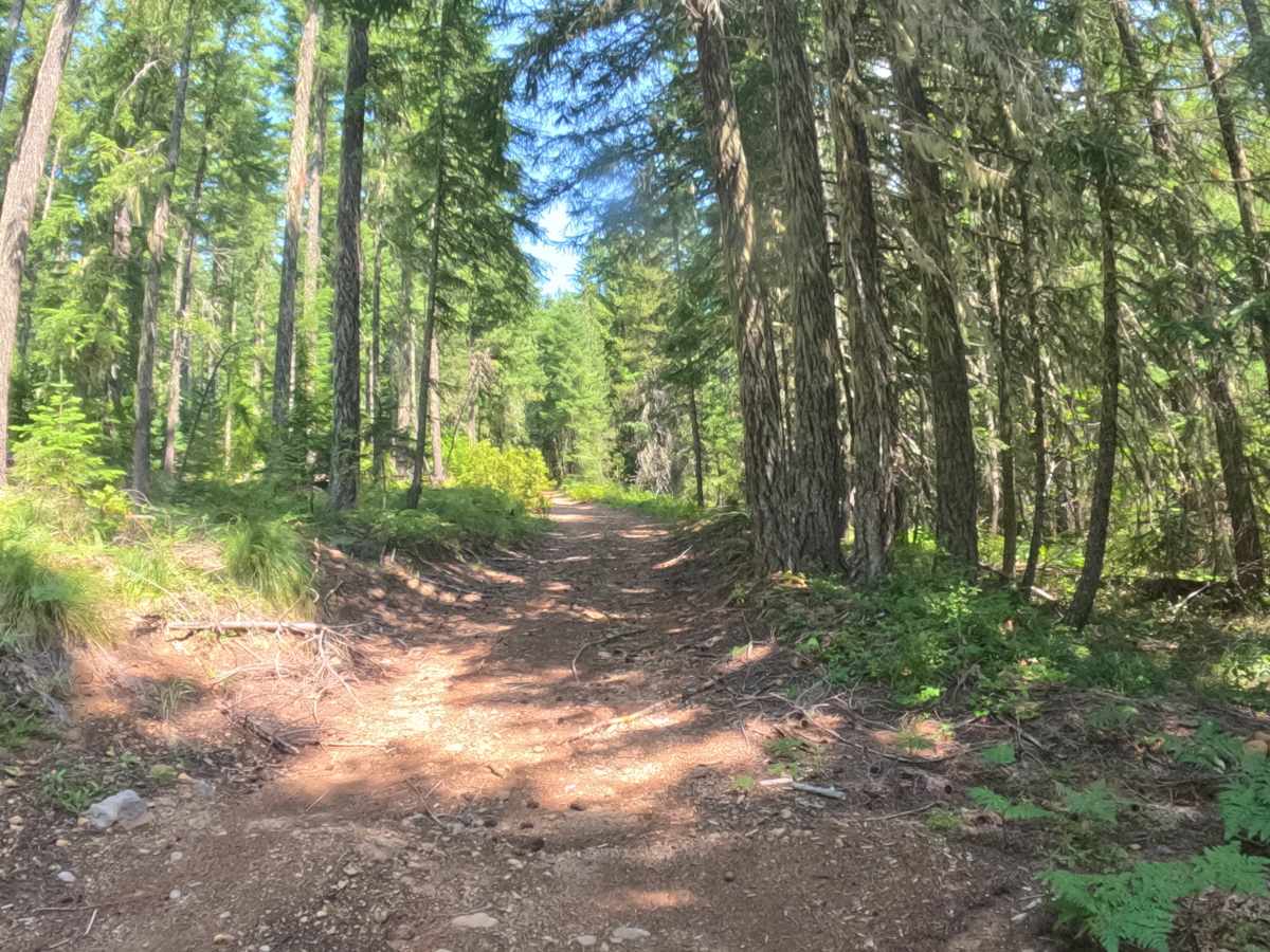 FS 2257537 trail photo