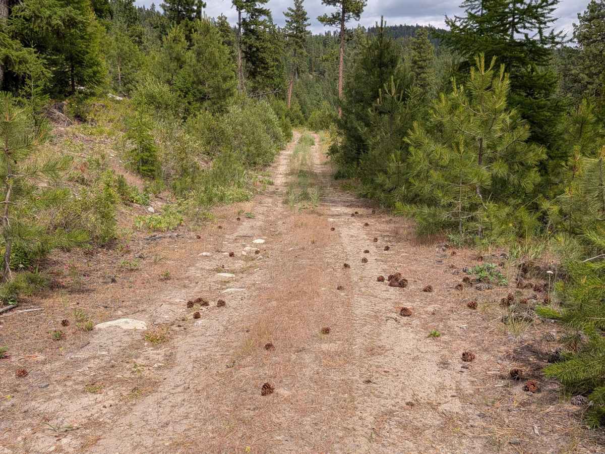 E332408U trail photo