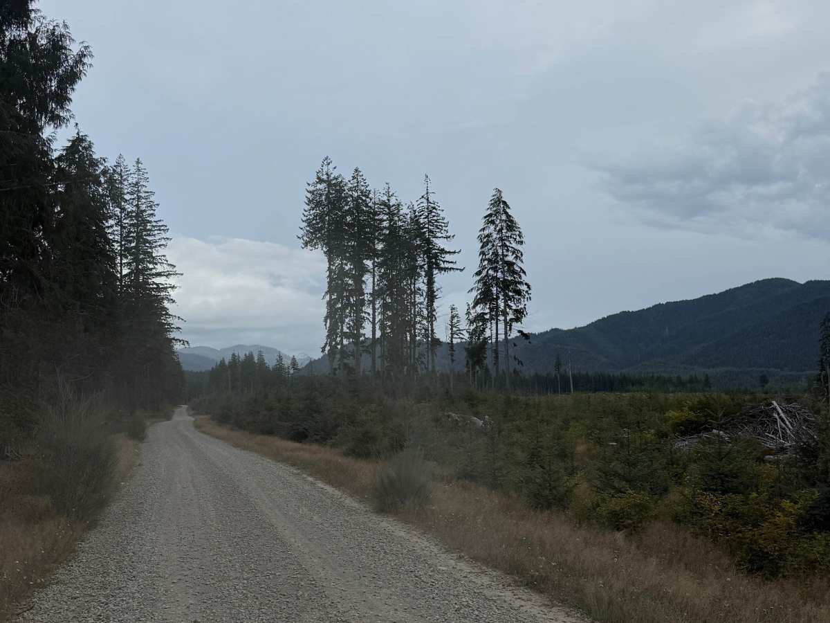 FFRQ 1000 photo 6