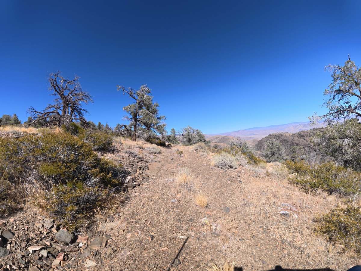 Deep Spring Overlook Trail photo 4