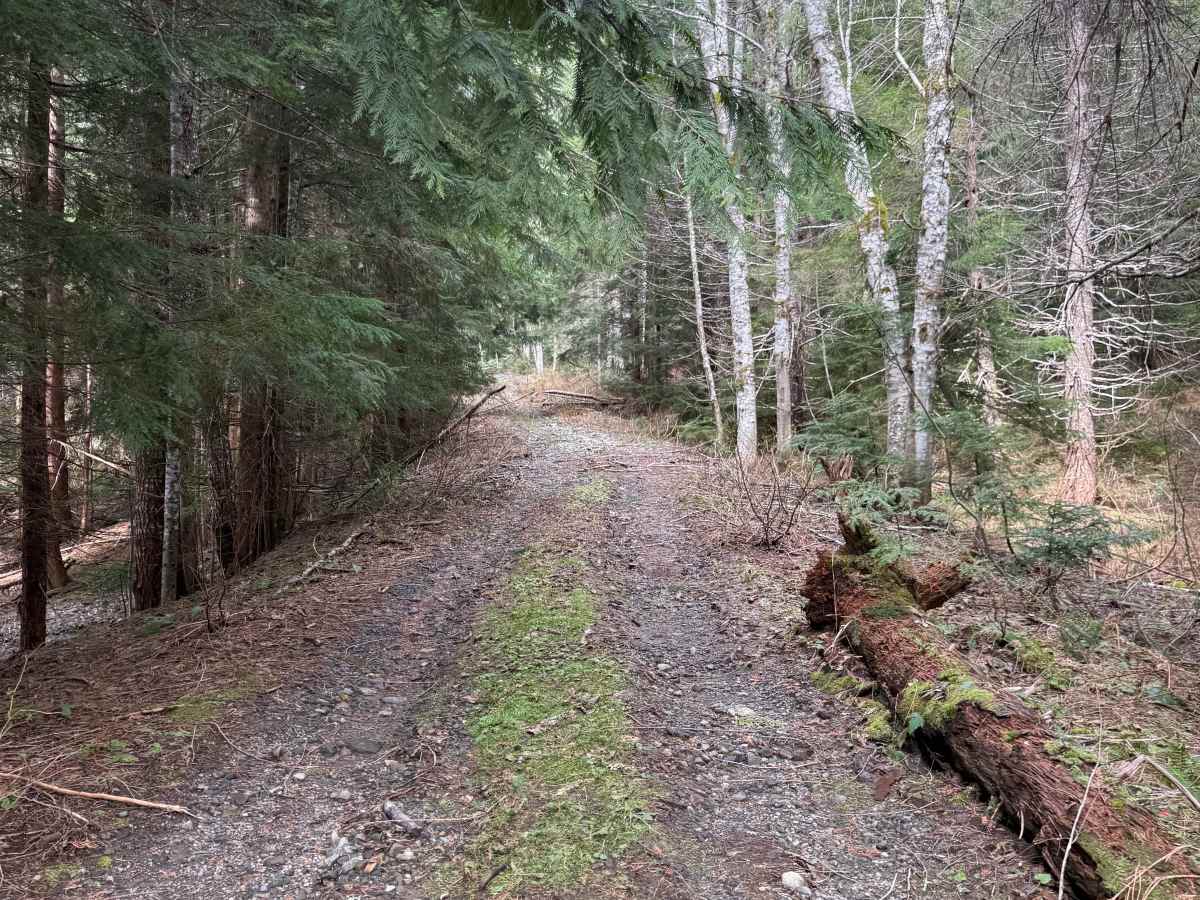 Beckler River Spur 2 photo 5