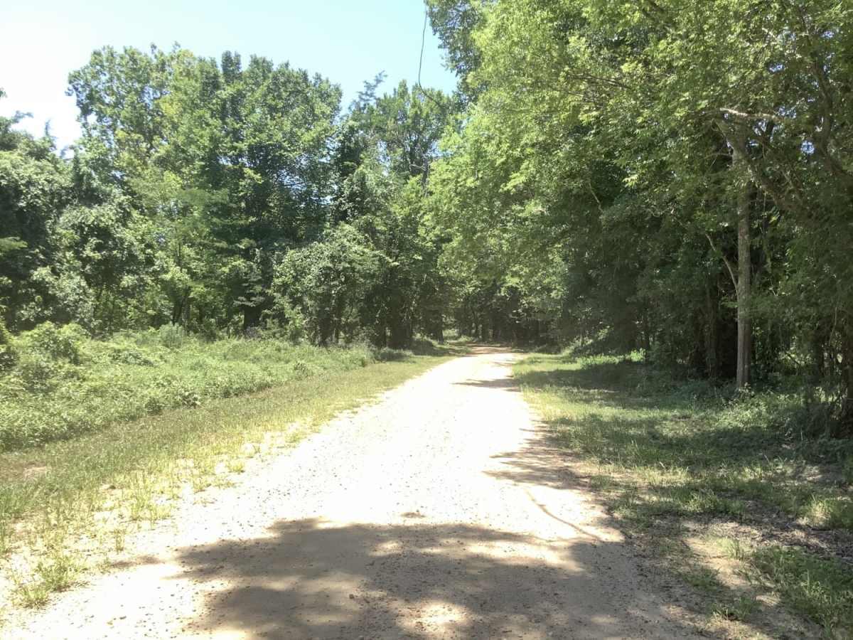 Cat Island River Trail photo 5