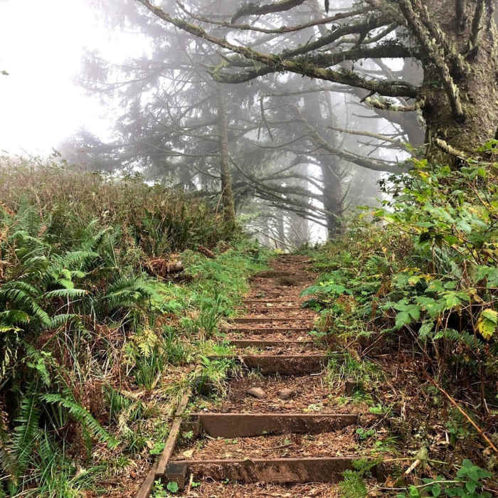 Near Heceta Head Trail