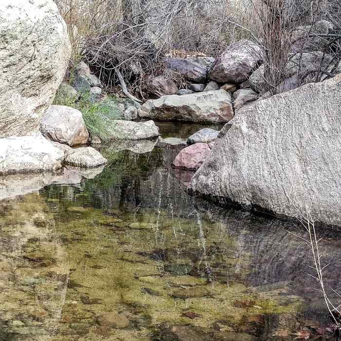 Near Rogers Canyon Trail