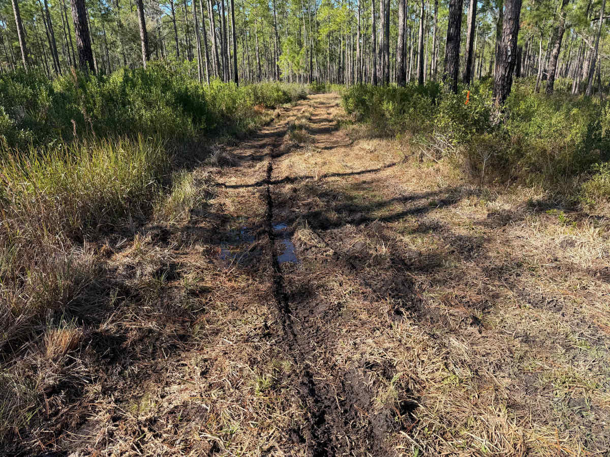 Levee Road photo 5