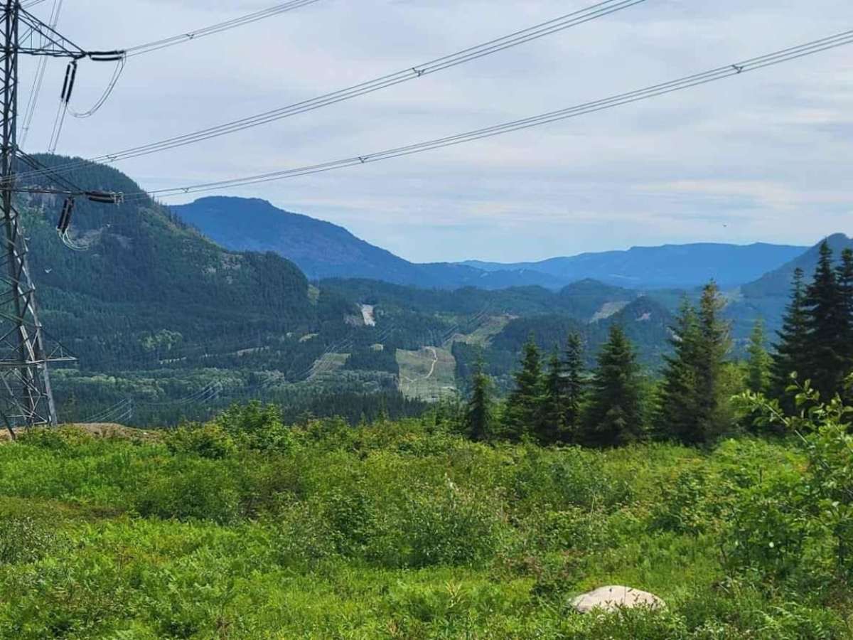 Cabin Creek Road (NF-41) trail photo