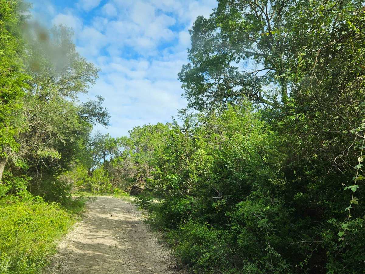 Gus's Gulch photo 5