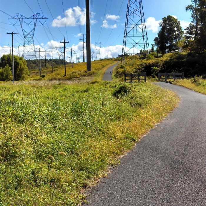 Near Skippack Trail