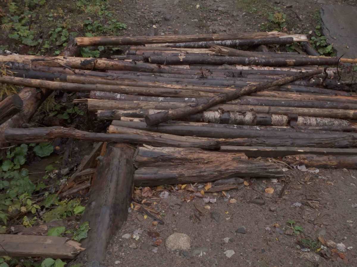 Cloudy Trail photo 5