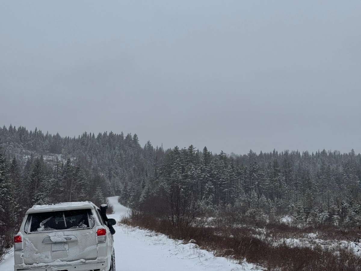 North Pond Road  trail photo