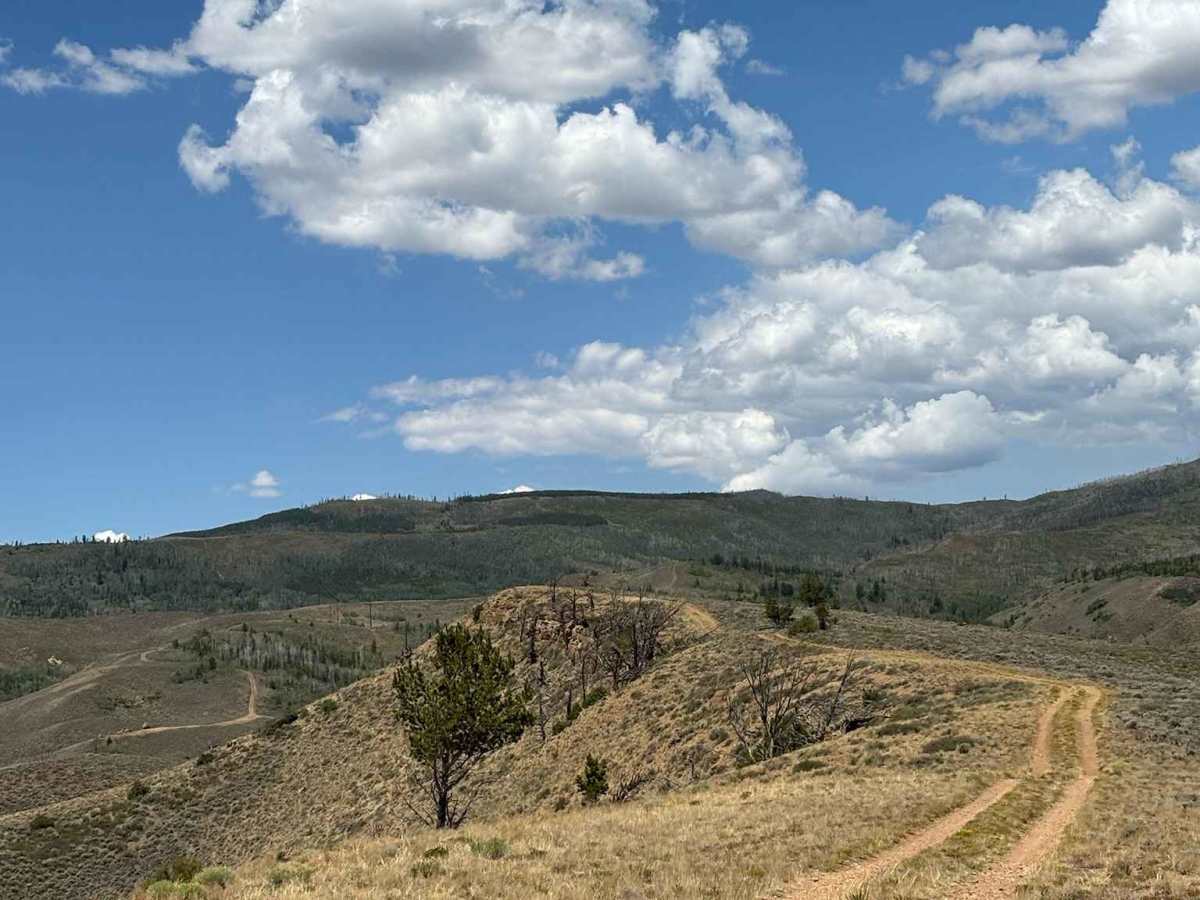 Kinney Creek Highline trail photo