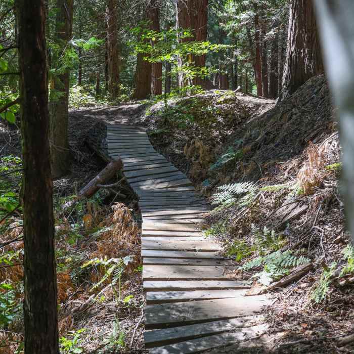 Near Northwoods Trail