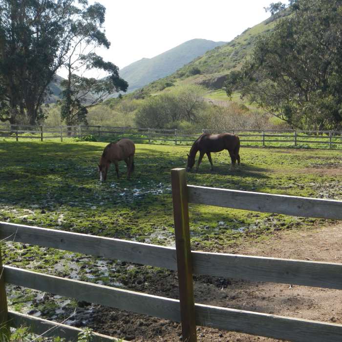 Near Tennessee Valley Trail