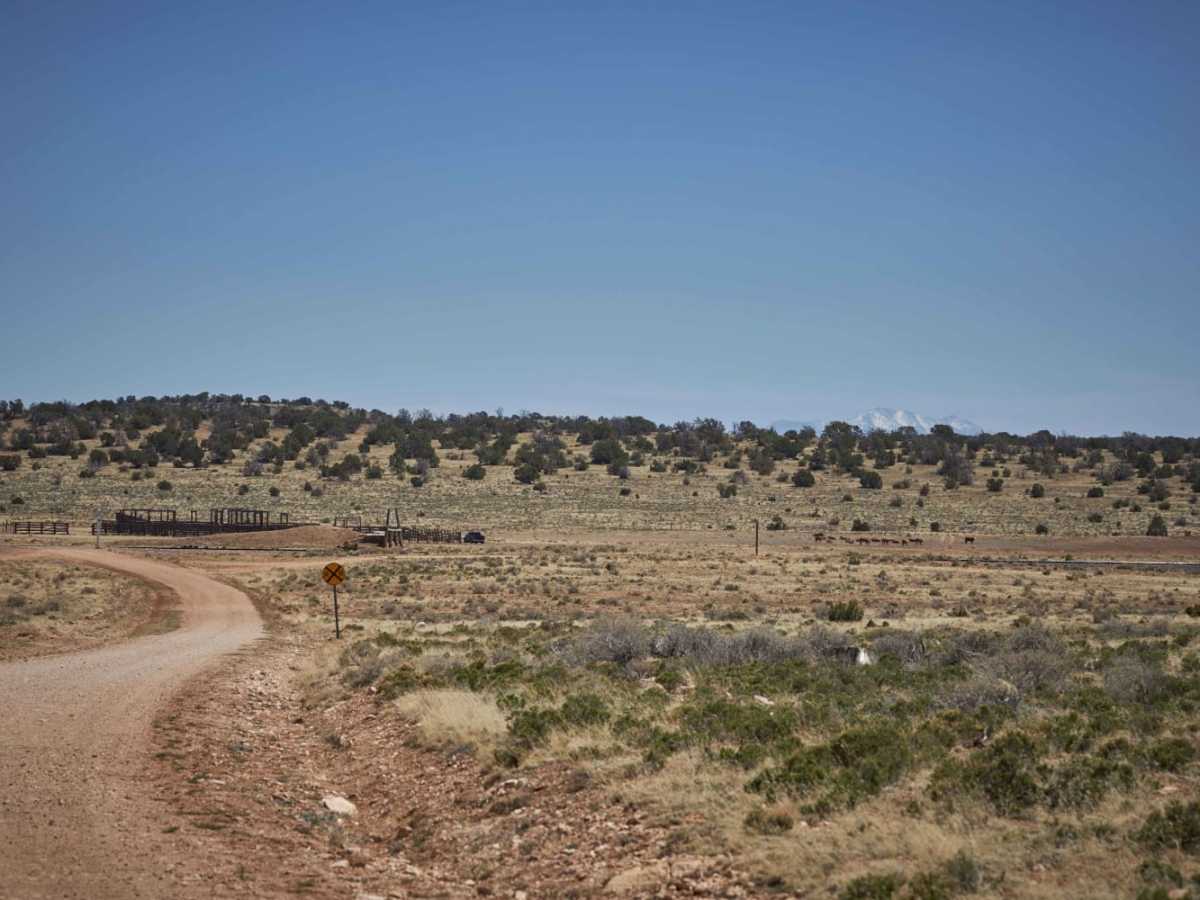 Old 347 Road / Anita trail photo