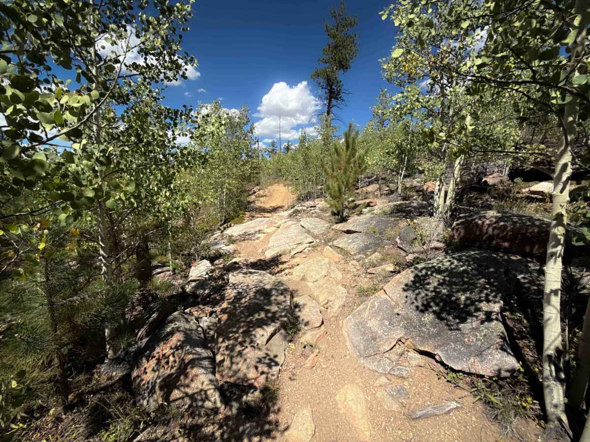Trail 737  trail photo