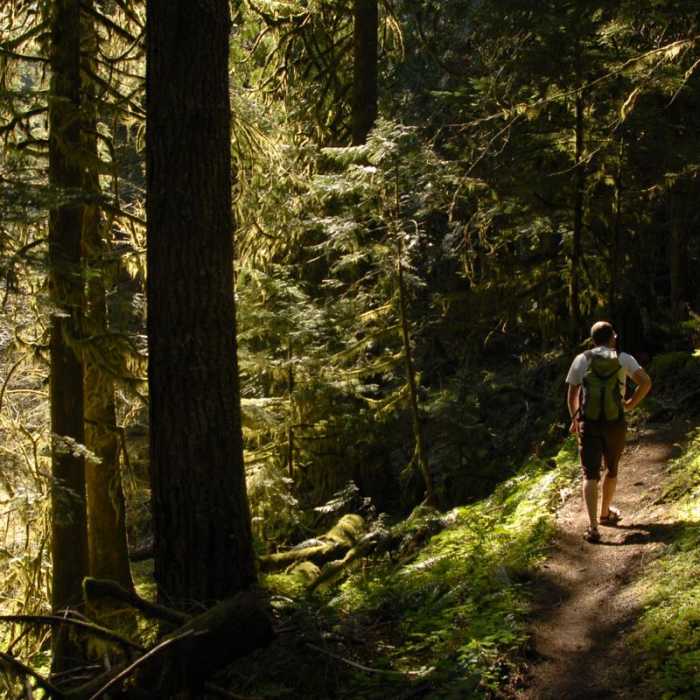 Near Hunchback Mountain