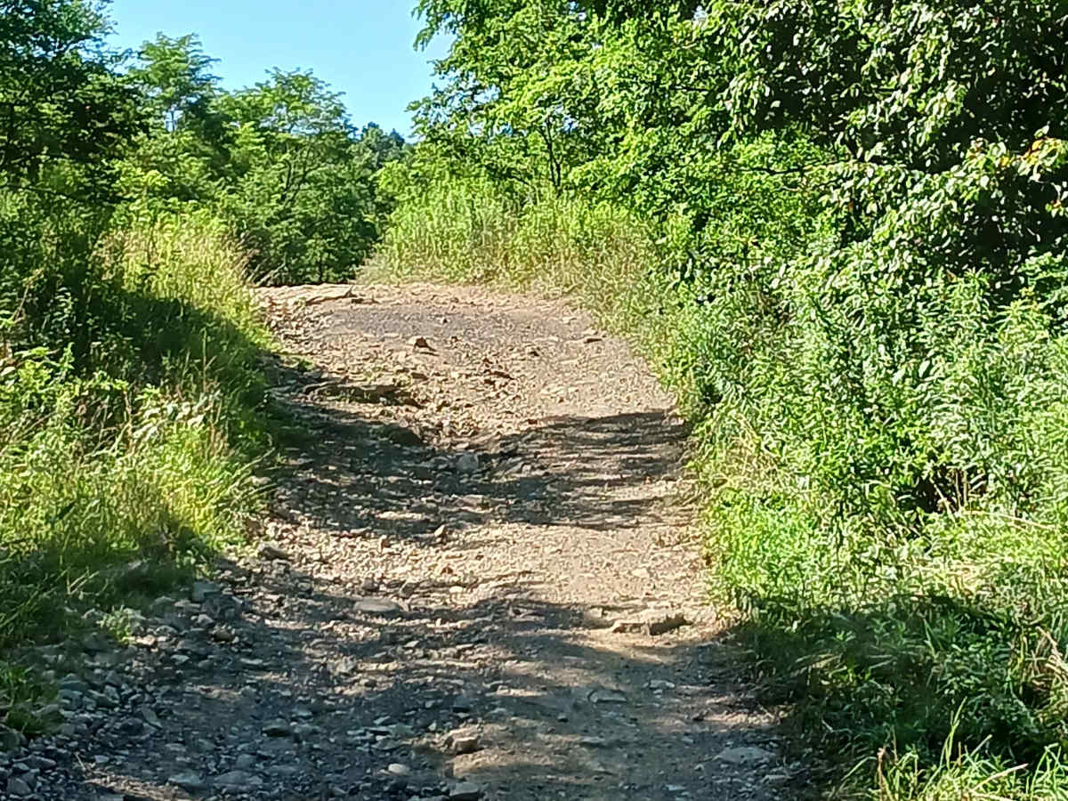 Trail 14 - Rock Run Recreation Area photo 6