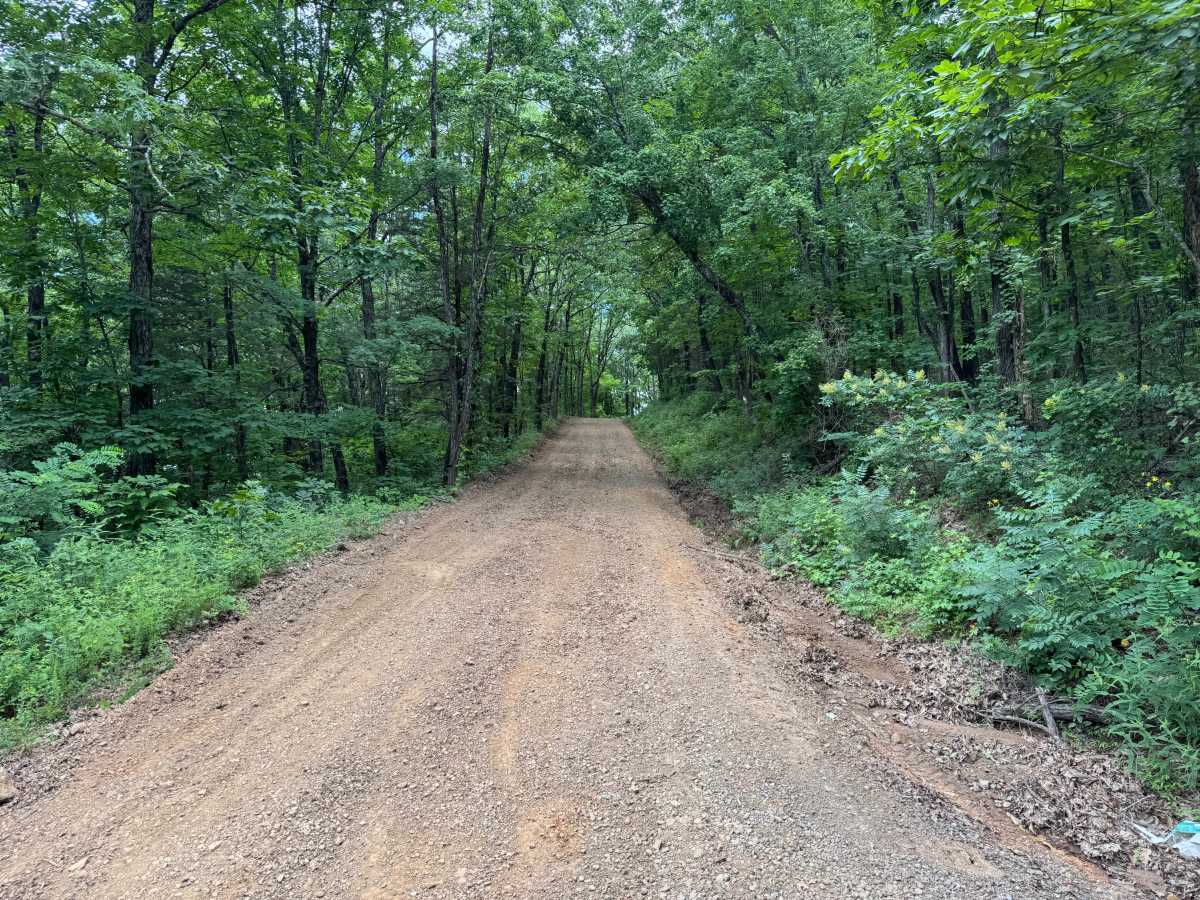 Oark Road trail photo