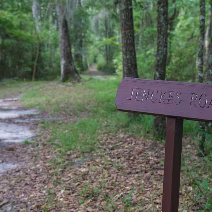 Near Sand Hills Trail via Ridge / Holly Trails Near Sand Hills Trail via Ridge / Holly Trails