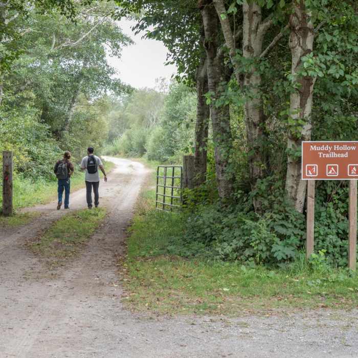 Near Limantour Estero via Muddy Hollow