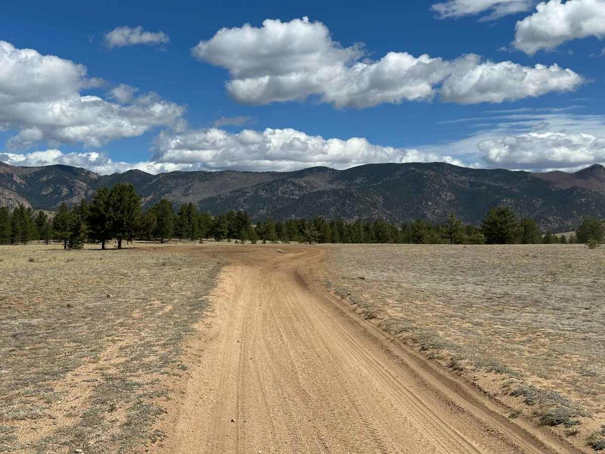 Boomer Road photo 6