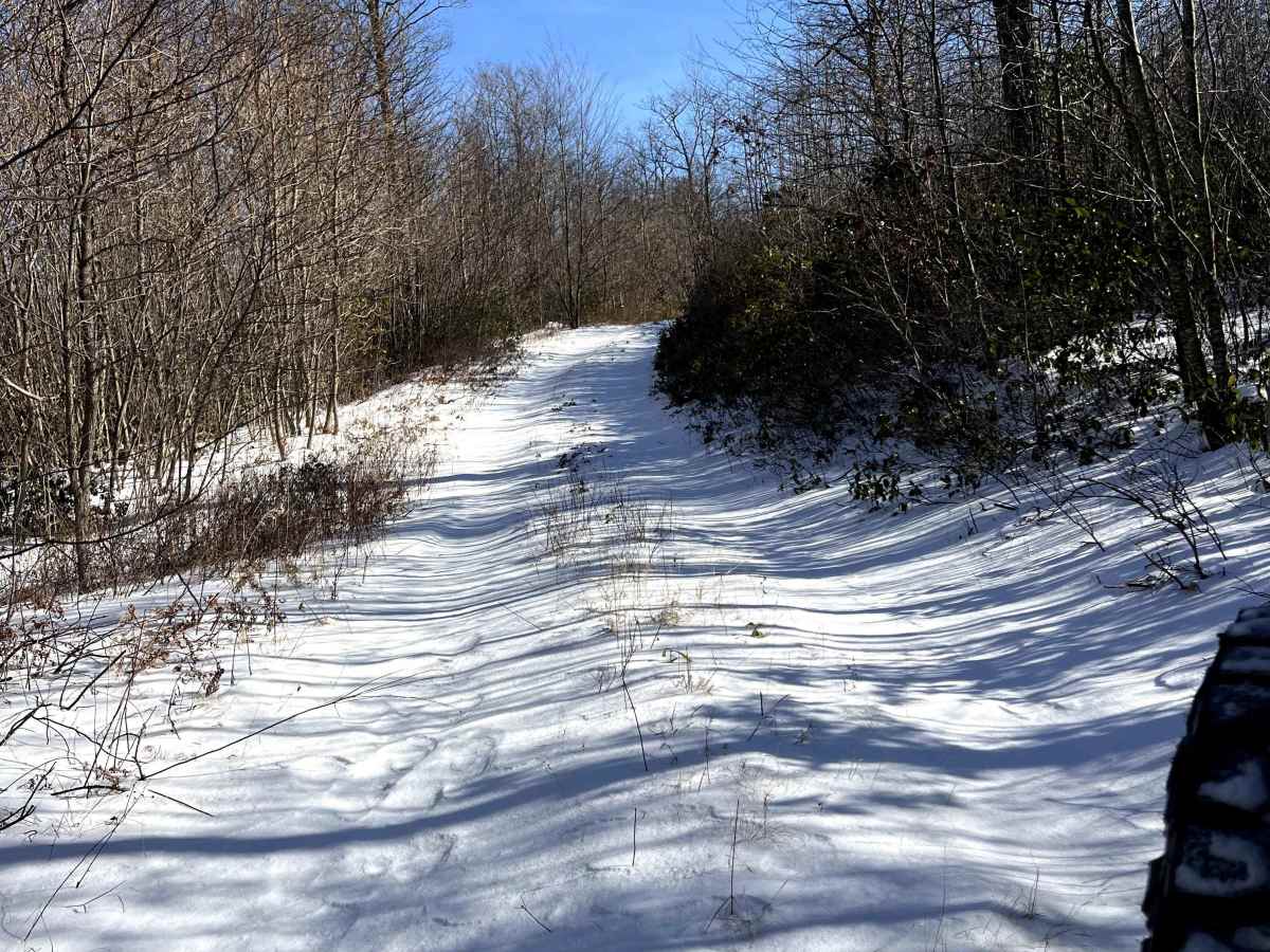 Steele Top Trail photo 6