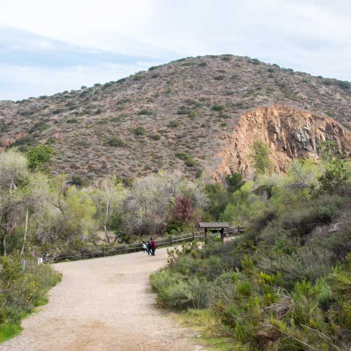 Near South Fortuna Mountain