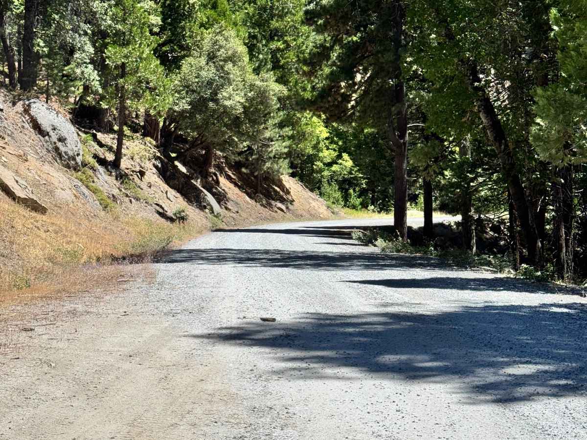 Hells Half Acre Road - FS 5N95 photo 3