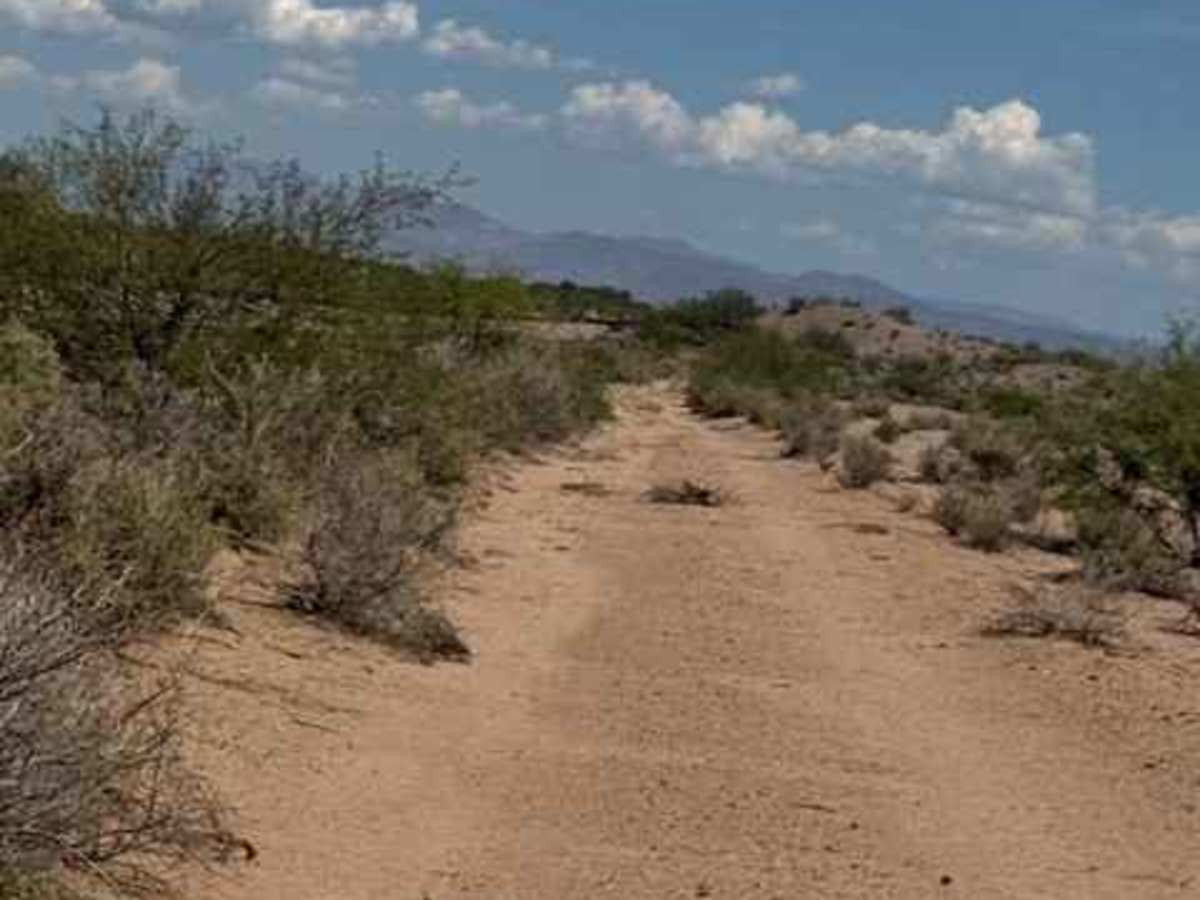 BLM SS1016 photo 6