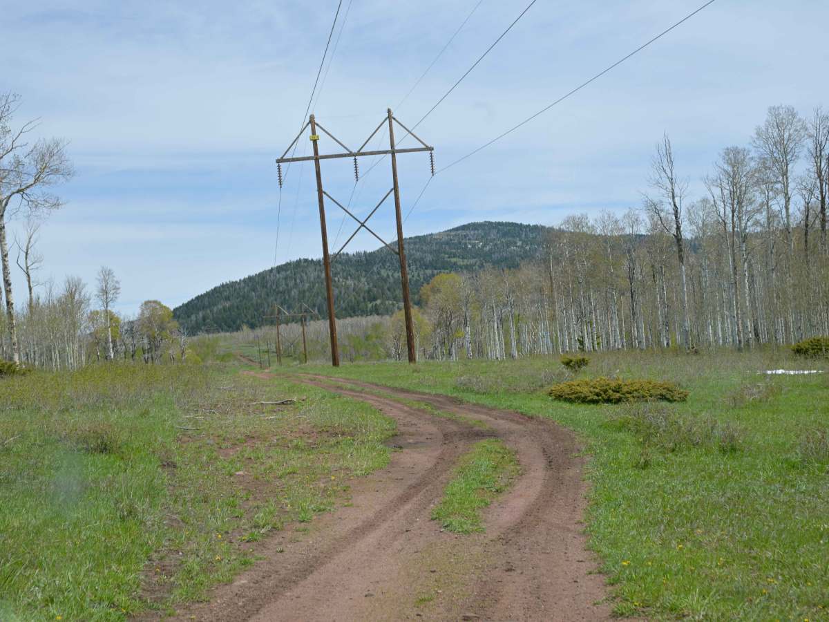 Power Line - FS 10574 photo 4