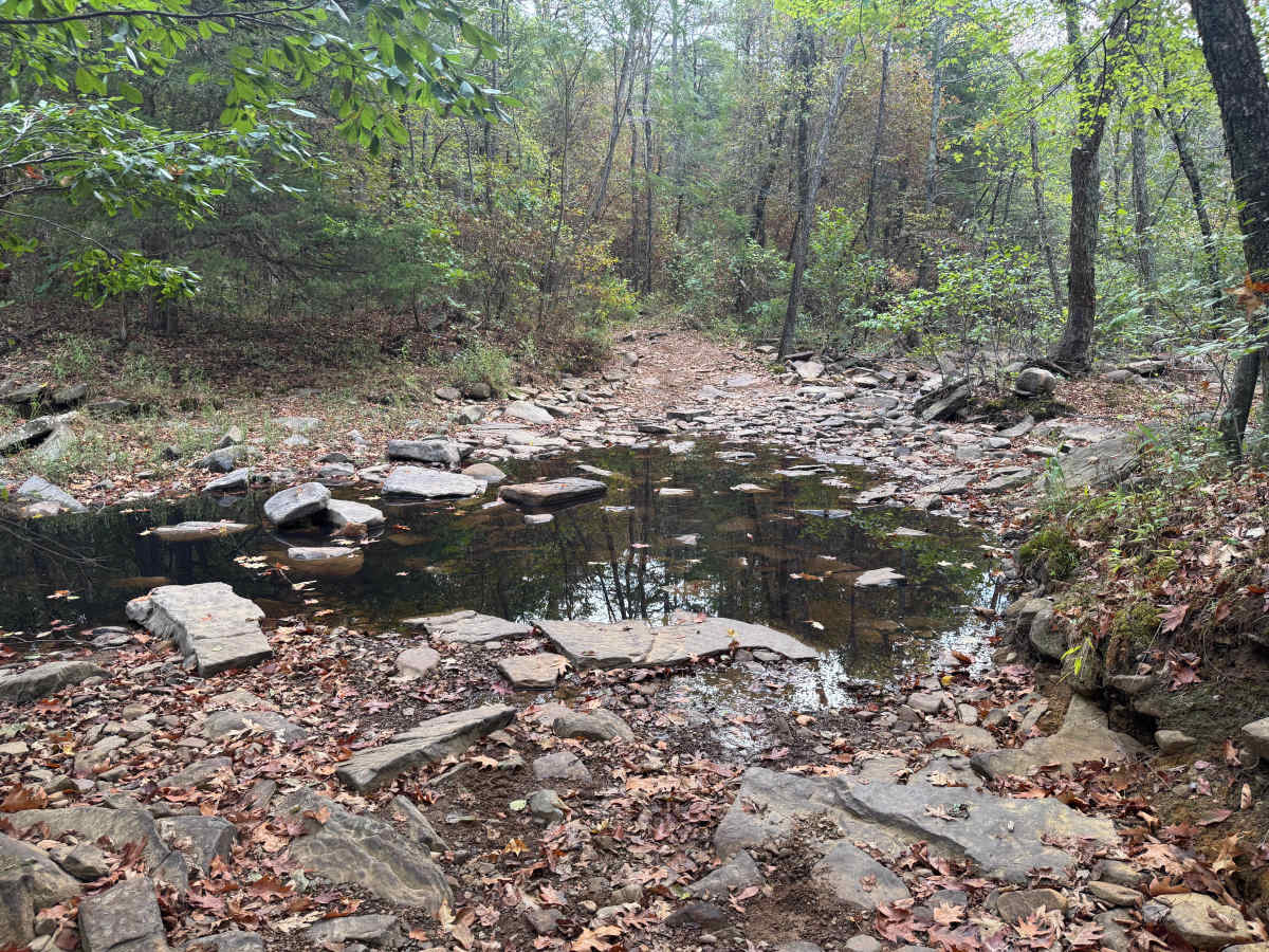 East Sing photo 2