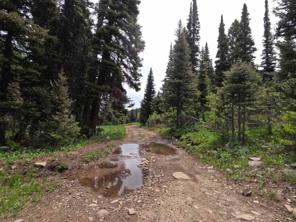 Monte Cristo Mine photo 3