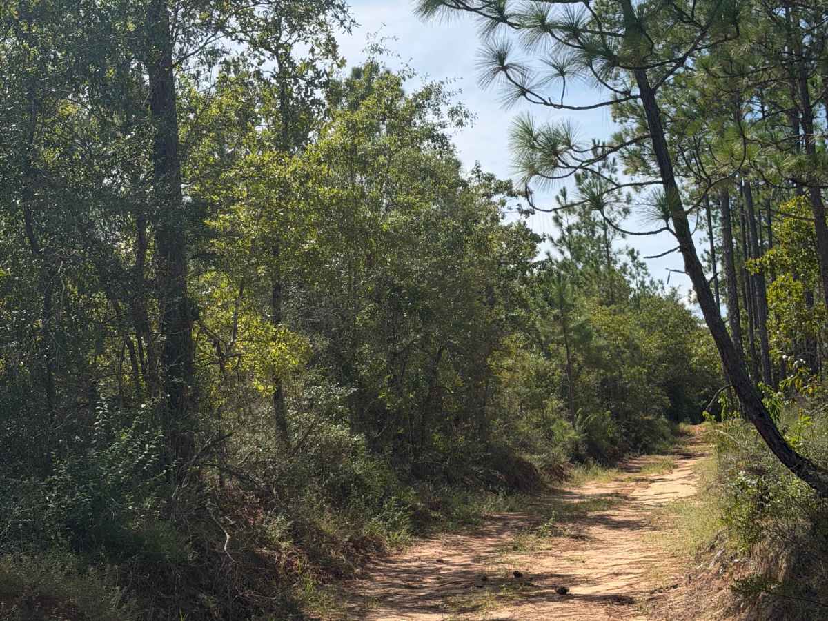 Beaver Creek Road R74 trail photo