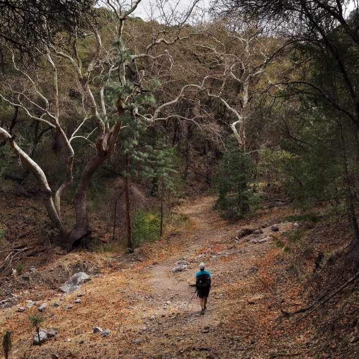 Near Kent Spring Trail #157