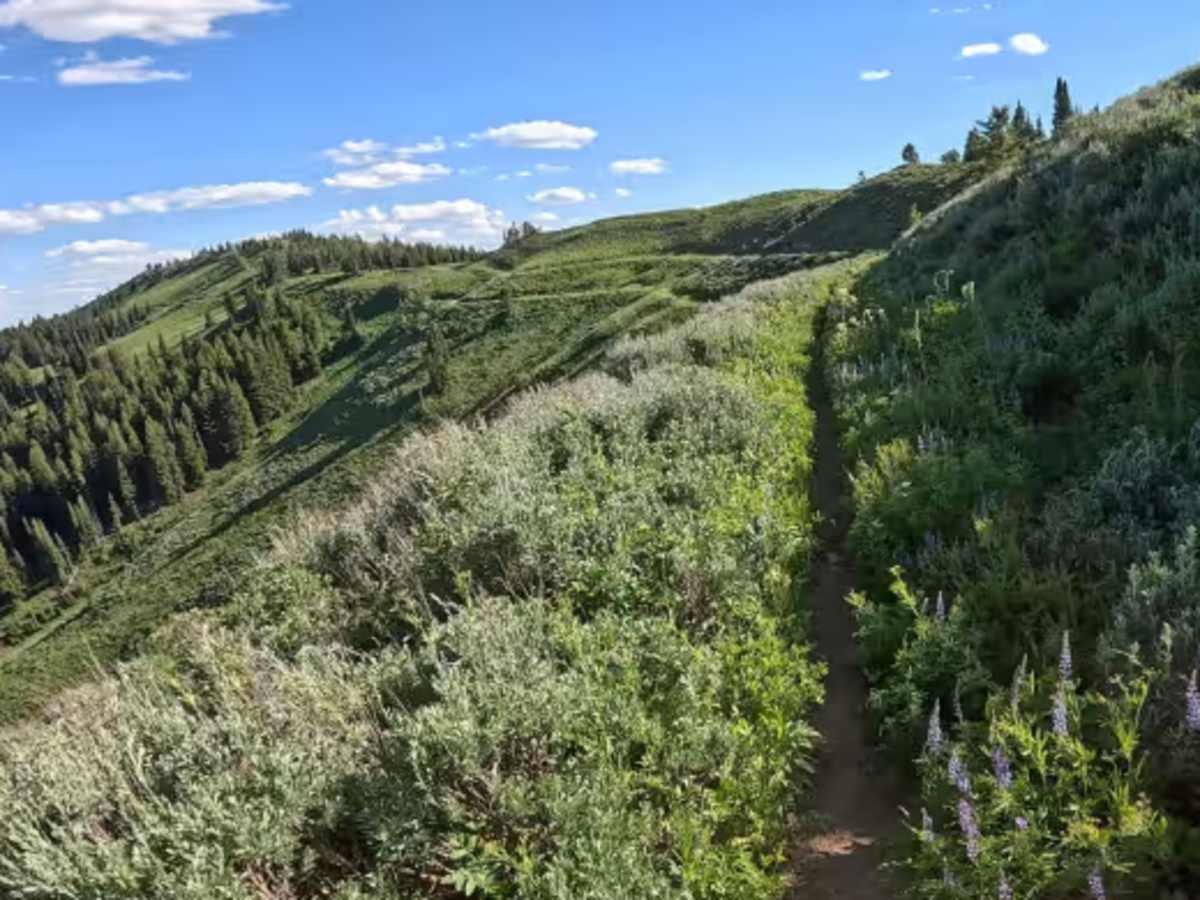 Hell Creek  trail photo