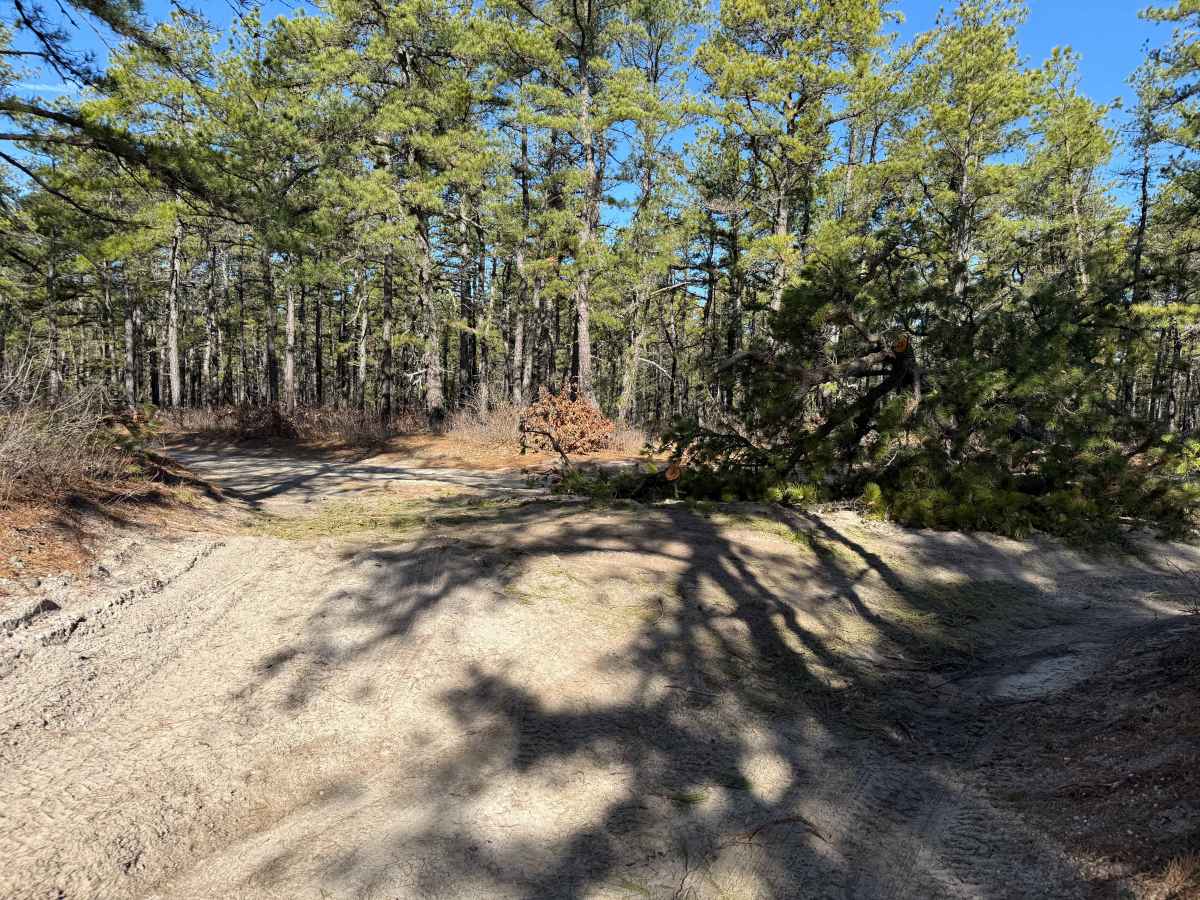 Railroad Prerunner Trail photo 6