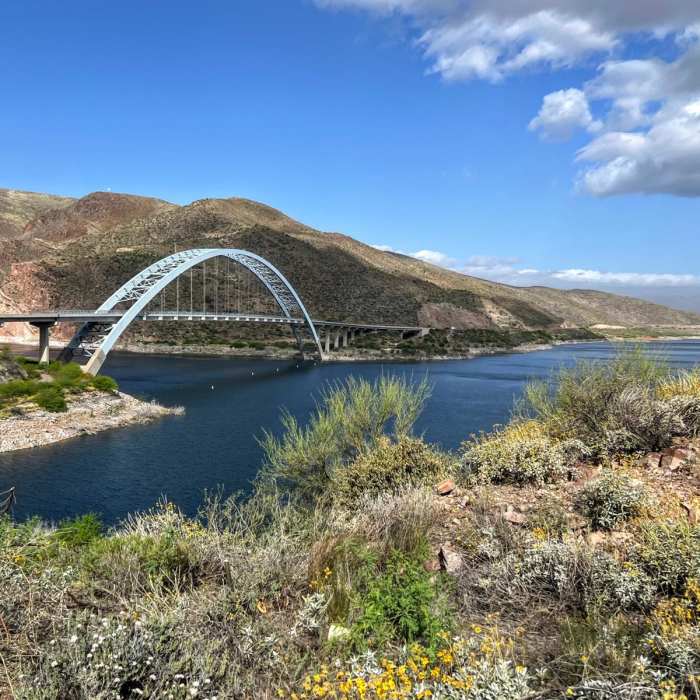 Near Vineyard Trail #131