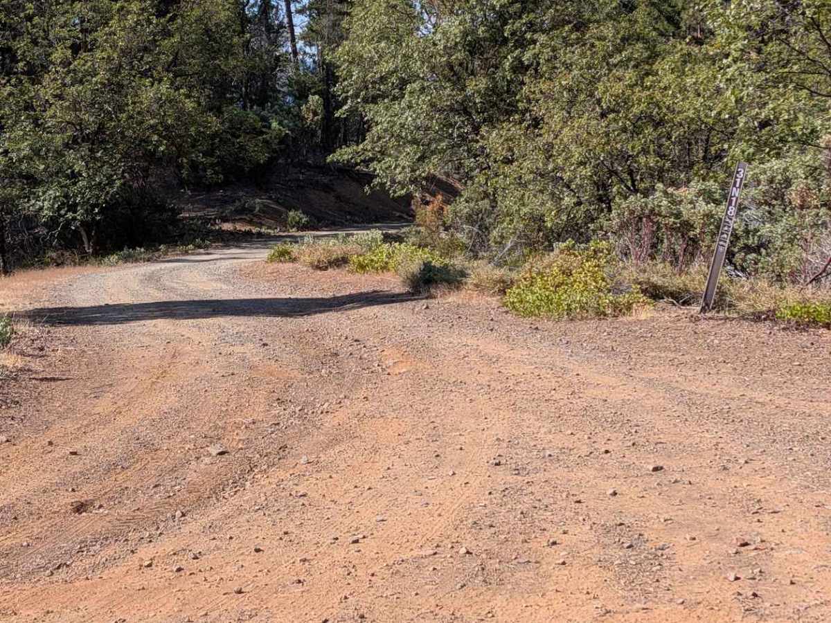 Carrier Divide Rd - FS 31N18 trail photo