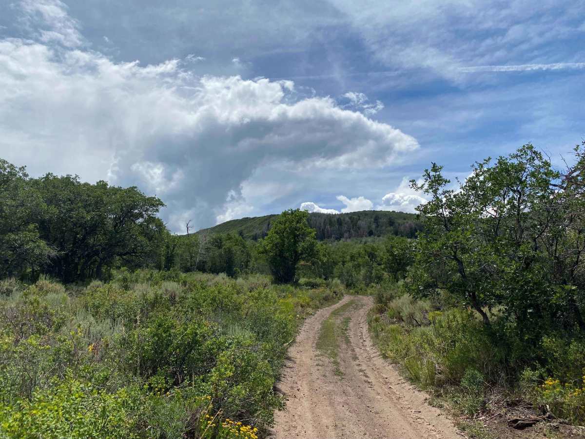 Over the Crown: BLM Road #8324 trail photo