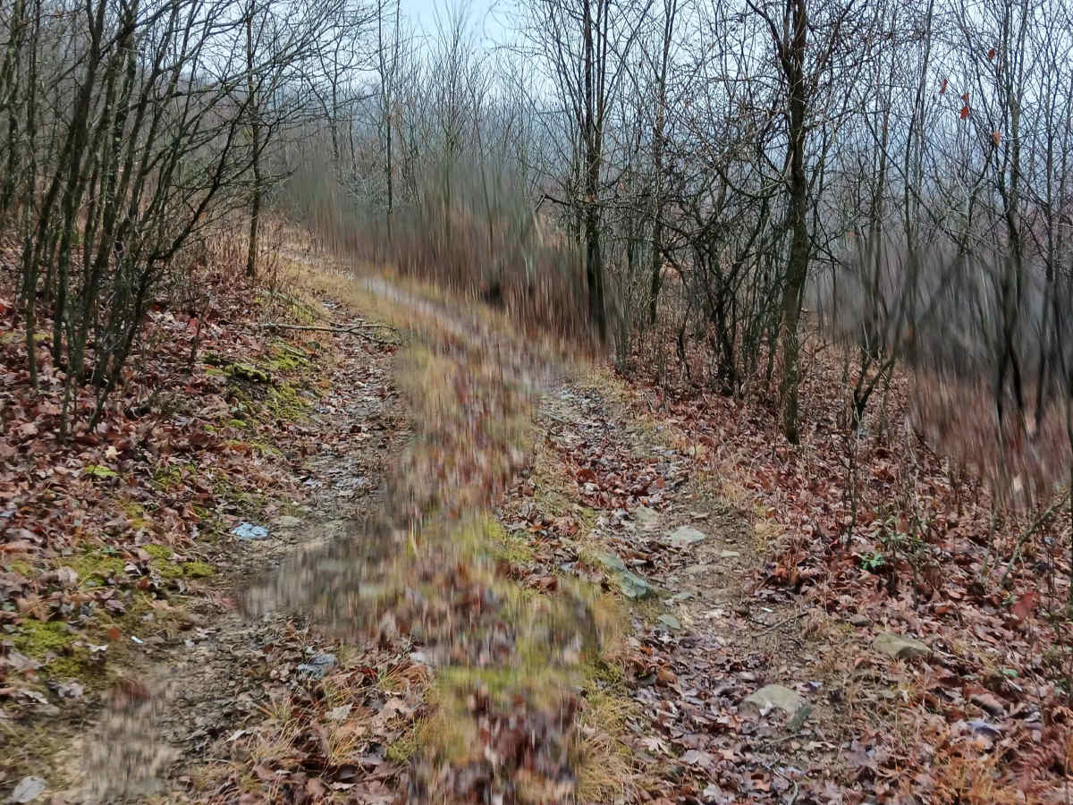 OHV 30 - Rock Run Recreation Area photo 5