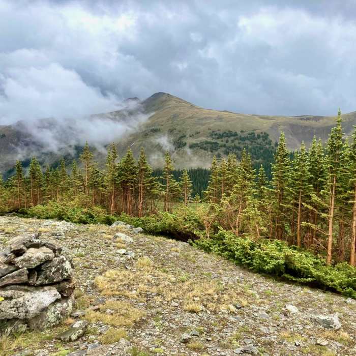 Near Colorado Trail: Collegiate West Segment 2
